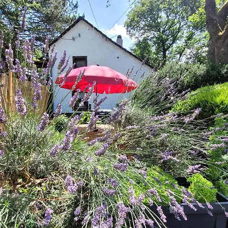 Haus Im Hanfbachtal Apartamento Kuenzenhohn